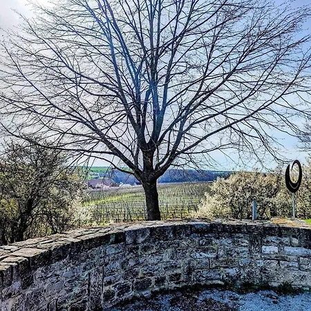 Appartamento Main Resoertchen *