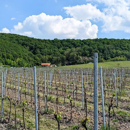 Main Resoertchen Appartamento *